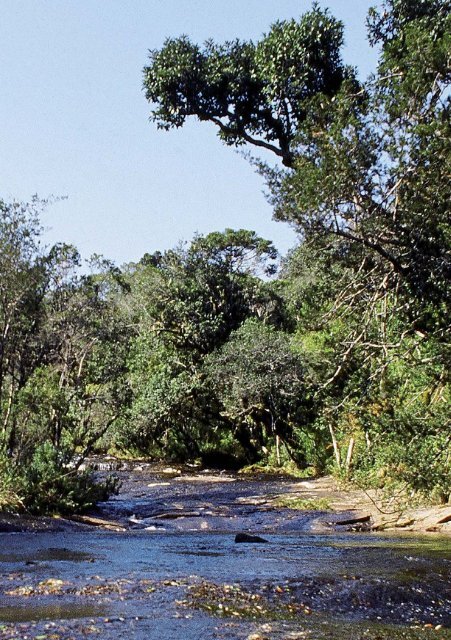 Bacias Hidrográficas do Paraná - Secretaria do Meio Ambiente e ...