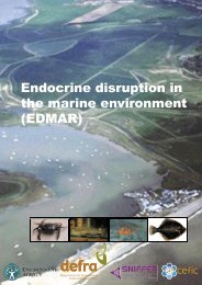 Cefas. (2002). Endocrine disruption in the marine environment