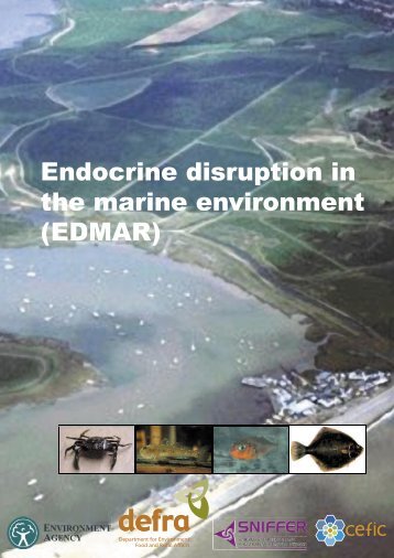 Cefas. (2002). Endocrine disruption in the marine environment