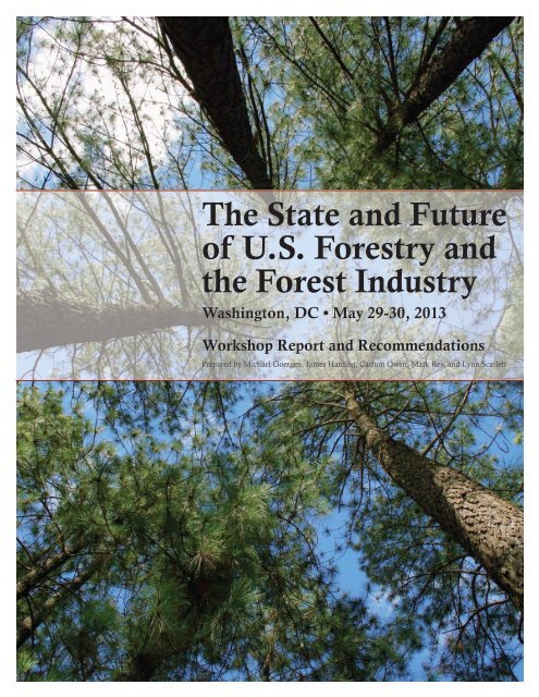 The State and Future of U.S. Forestry and the Forest Industry (May ...