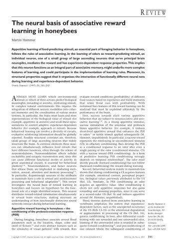 The neural basis of associative reward learning in honeybees