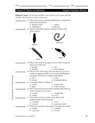 Chapter 27 Worms and Mollusks Chapter Vocabulary Review