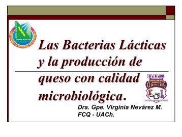 QuÃ© son las bacterias lÃ¡cticas
