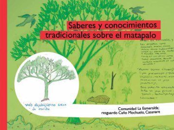 Saberes y conocimientos tradicionales sobre el matapalo