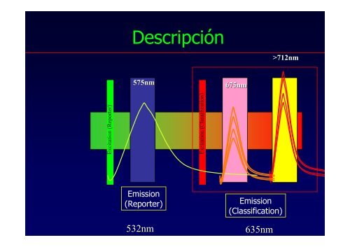 CLASE 3 DetecciÃ³n de Anticuerpos - Hospital Privado