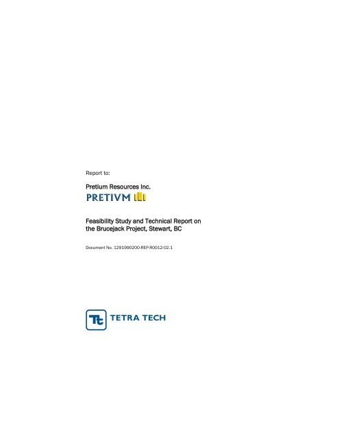 Feasibility Study and Technical Report - Pretivm