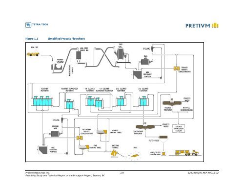 Feasibility Study and Technical Report - Pretivm