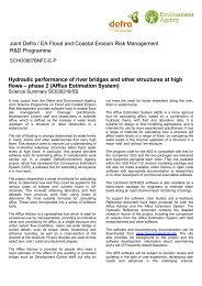 Hydraulic performance of river bridges and other structures at high ...