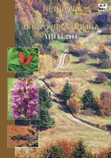 NEBROVÁ A BREZOVSKÁ DOLINA - ŠOP SR