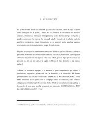 P sobre la productividad y desarrollo del palto cv. Hass - Altavoz