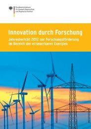 Innovation durch Forschung – Jahresbericht 2012 ... - BMU - Bund.de