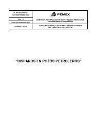 âDISPAROS EN POZOS PETROLEROSâ - cedip