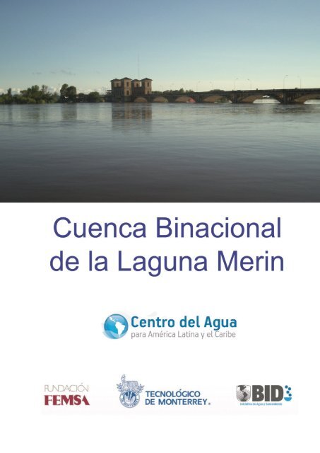 Cuenca Binacional de la Laguna Merin - Consejo Uruguayo para ...