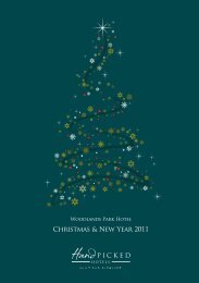 Christmas & New Year 2011 - Hand Picked Hotels