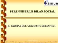 PERENNISER LE BILAN SOCIAL - Amue