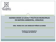 agenda desde lo local y polÃ­ticas municipales en materia ambiental ...