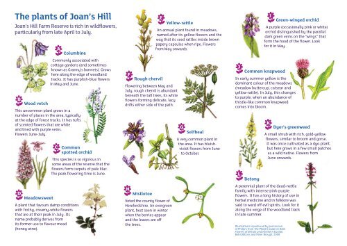 Discover Joan's Hill Farm - Plantlife