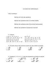 dossier de mathÃ©matique afin de prÃ©parer l'entrÃ©e en 11e