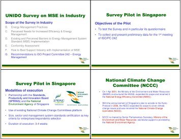 UNIDO Survey on MSE in Industry Survey Pilot in ... - Energy Efficiency