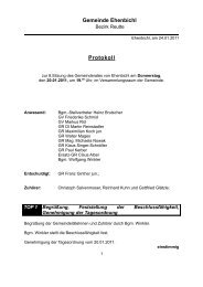 Gemeinderatssitzung vom 20.01.2011 (149 KB) - .PDF - Ehenbichl