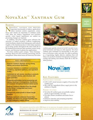 Novaxan Xanthan Gum - ADM