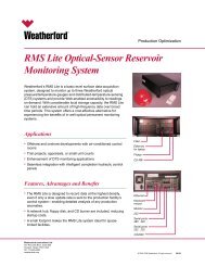 RMS Lite Optical-Sensor Reservoir Monitoring System - Weatherford ...