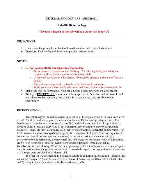 1 GENERAL BIOLOGY LAB 1 (BSC1010L) Lab #10: Biotechnology ...