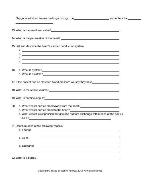 Cardiovascular System - Health Science Technology Education