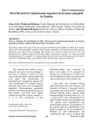 First Record of Cephalonomia hypobori on Scolytus amygdali ... - Iresa