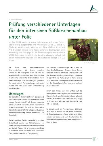 2010-03 PrÃ¼fung verschiedener Unterlagen fÃ¼r den intensiven ...