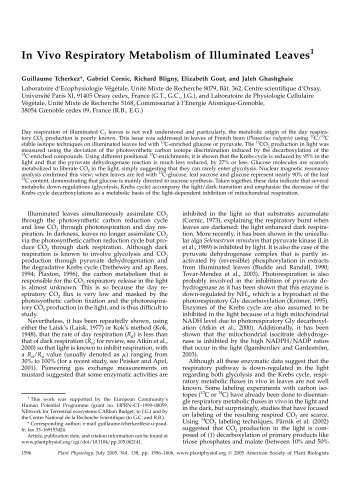 In Vivo Respiratory Metabolism of Illuminated Leaves