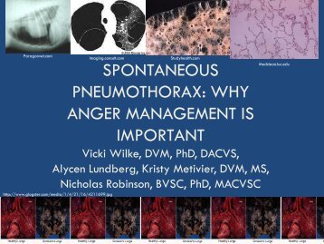 Spontaneous Pneumothorax: Why Anger Management is Important