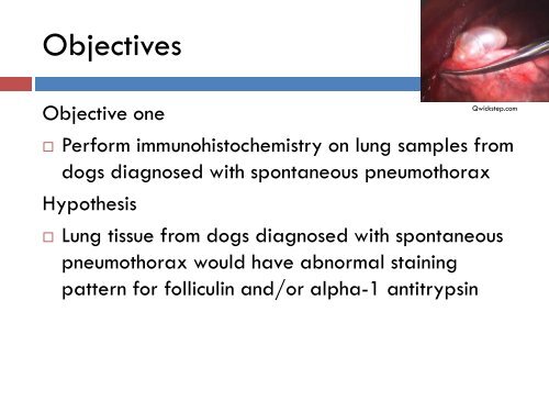 Spontaneous Pneumothorax: Why Anger Management is Important