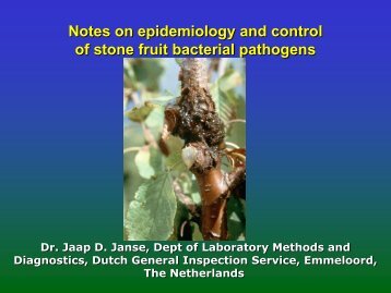 Of Stone Fruit Bacterial Pathogens - Cost 873