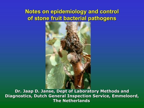 Of Stone Fruit Bacterial Pathogens - Cost 873