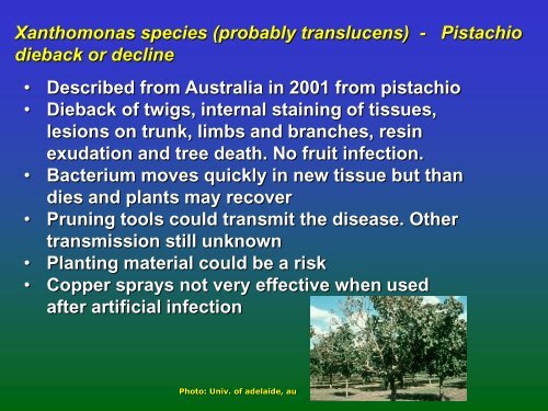 Of Stone Fruit Bacterial Pathogens - Cost 873