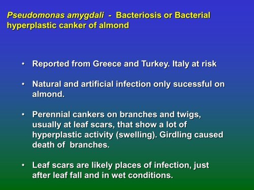 Of Stone Fruit Bacterial Pathogens - Cost 873