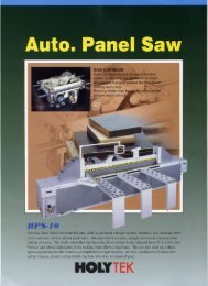 auto panel saw (hps-5, 8, 10, 12, 15) - Woodtech