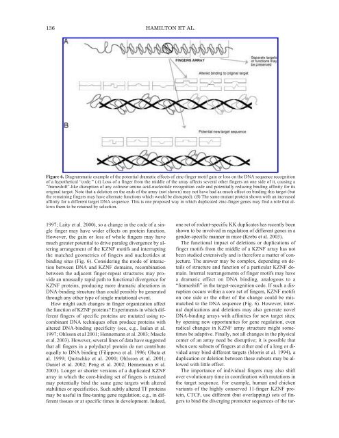 The Genom of Homo sapiens.pdf