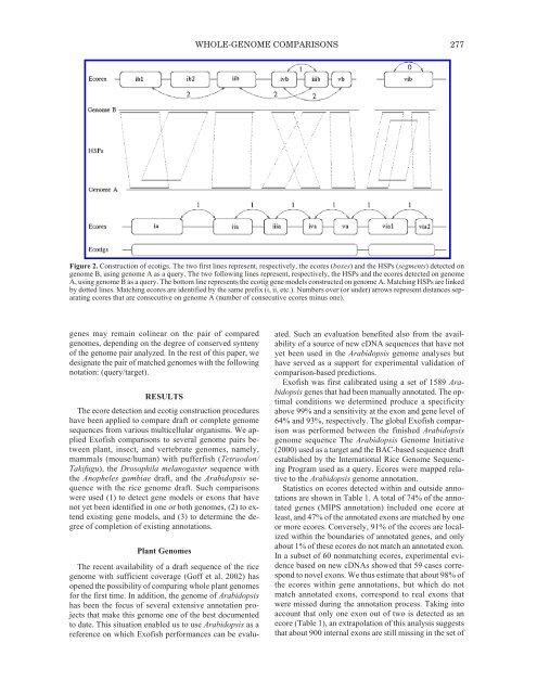 The Genom of Homo sapiens.pdf