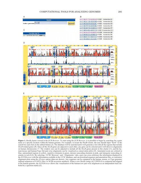 The Genom of Homo sapiens.pdf