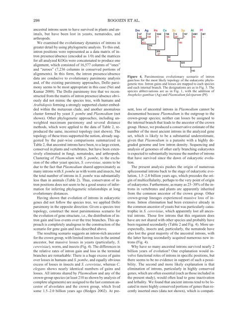 The Genom of Homo sapiens.pdf
