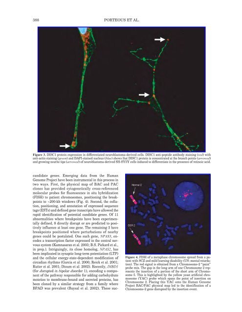 The Genom of Homo sapiens.pdf