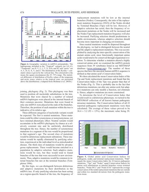 The Genom of Homo sapiens.pdf