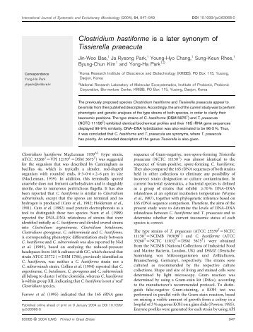 Clostridium hastiforme is a later synonym of Tissierella praeacuta