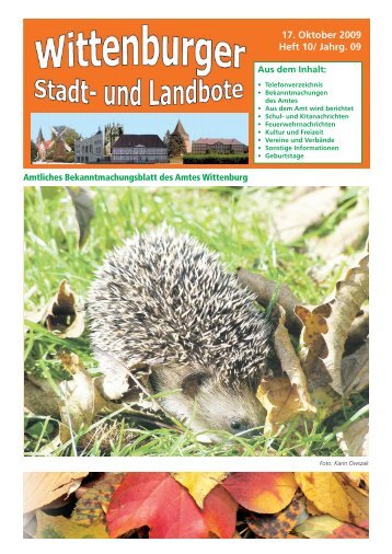 17. Oktober 2009 Heft 10/ Jahrg. 09 - Landkreis Ludwigslust