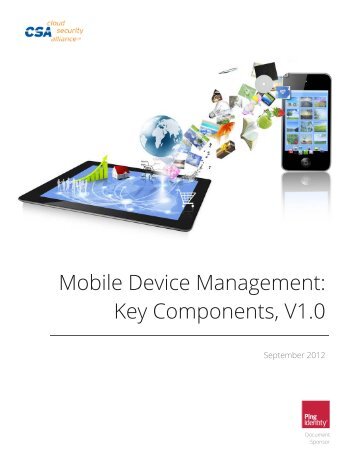 Mobile Device Management: Key Components, V1.0