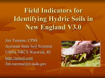 Field Indicators for Identifying Hydric Soils in New England - NeSoil