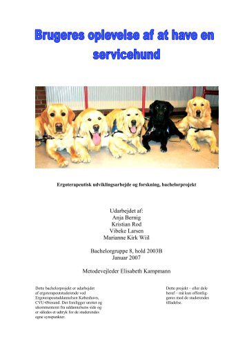 Brugeres oplevelse af at have en servicehund