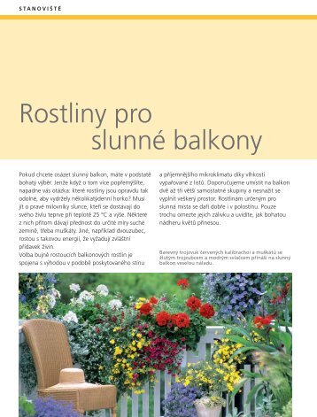 Rostliny pro slunnÃ© balkony